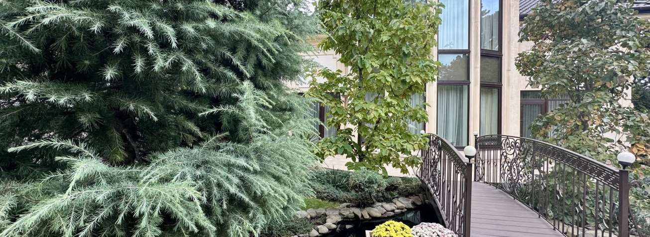 Итоги ноября 2025: аналитика рынка элитных домов в Одессе | STANDARD