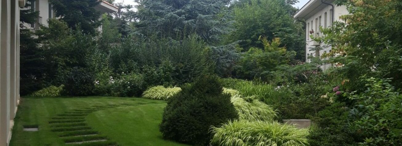 Не кожен ріелтор продає елітні будинки | Як обрати експерта в Одесі